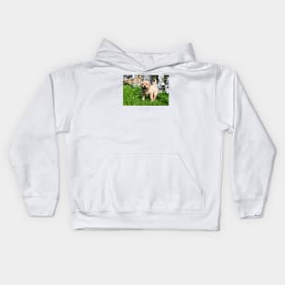 Labrador Puppies II / Swiss Artwork Photography Kids Hoodie